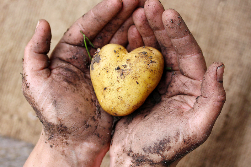 FOODSHARING Schweiz - Das Engagement gegen Lebensmittelverschwendung